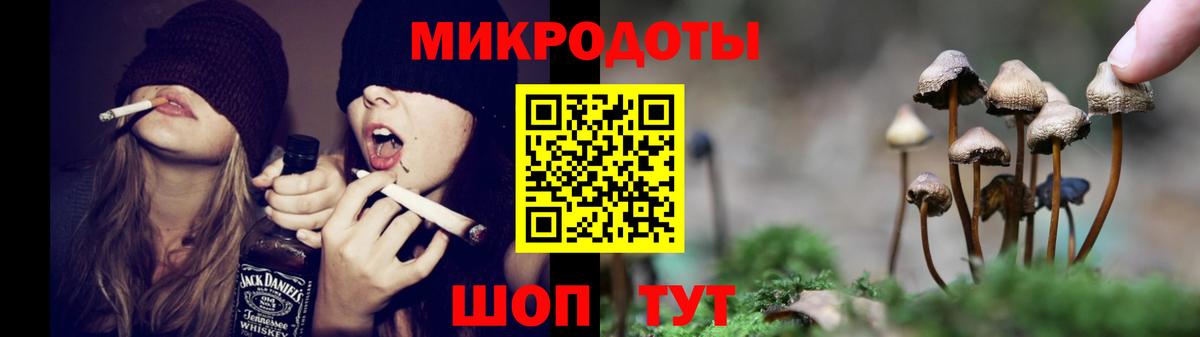 Галлюциногенные грибы Psilocybe Сургут